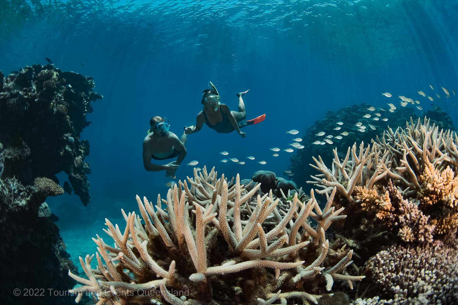 Divers swimming near coral reef photo – Australia - © Tourism and Events Queensland