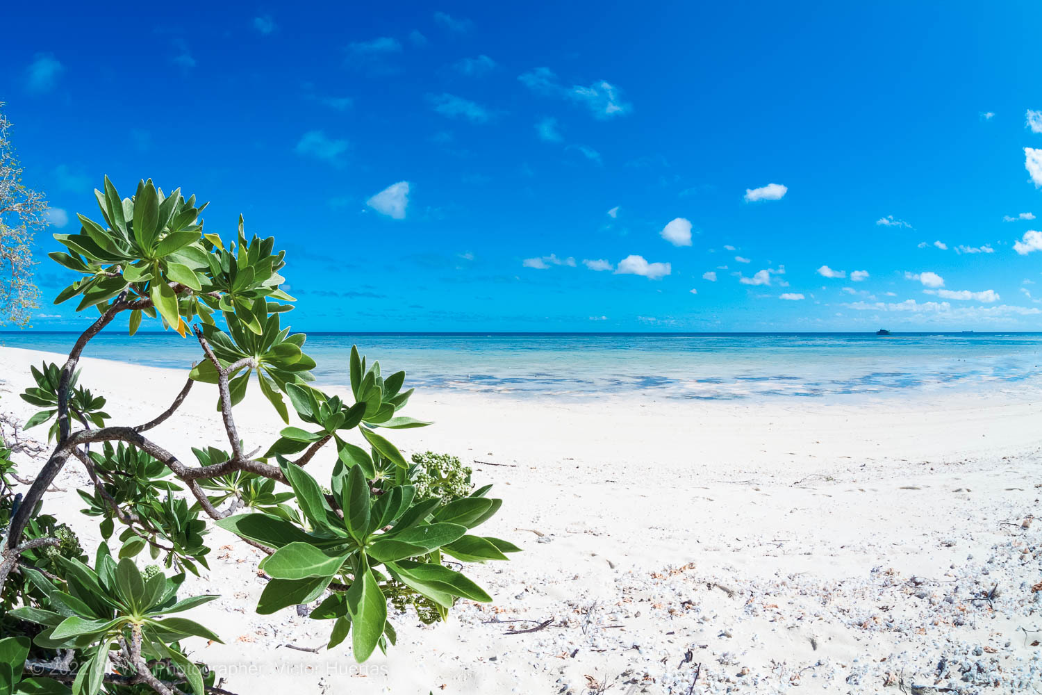 Beach along the Great Barrier Reef – Australia - © QPWS - Photographer: Victor Huertas