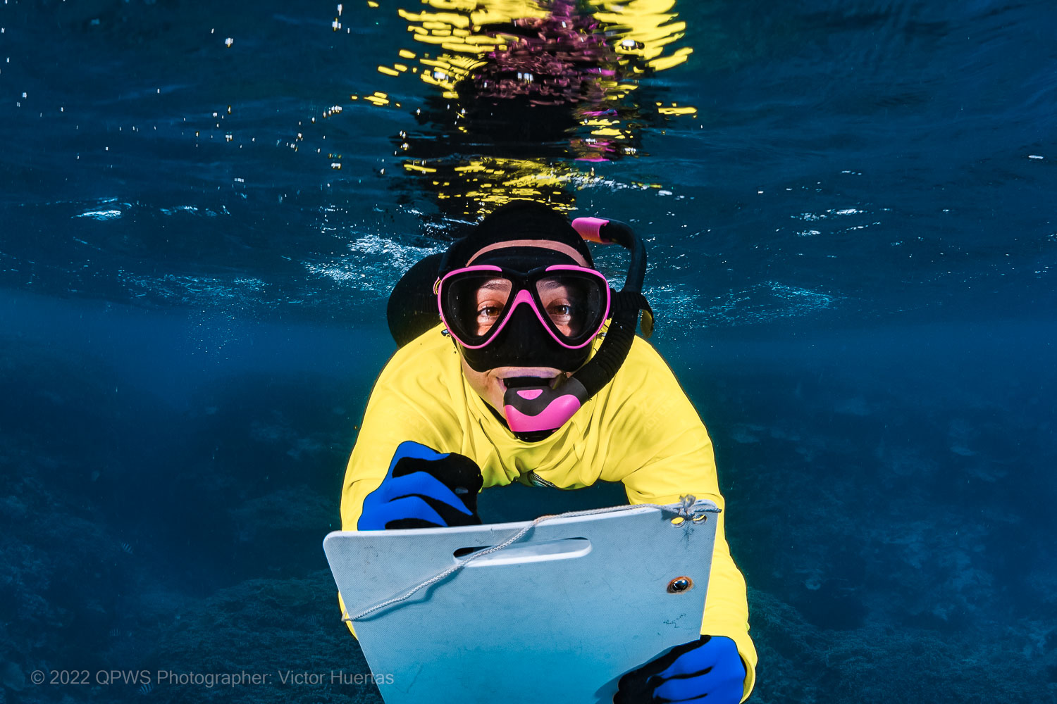 Diver conducting Reef health survey – Australia - © QPWS - Photographer: Victor Huertas