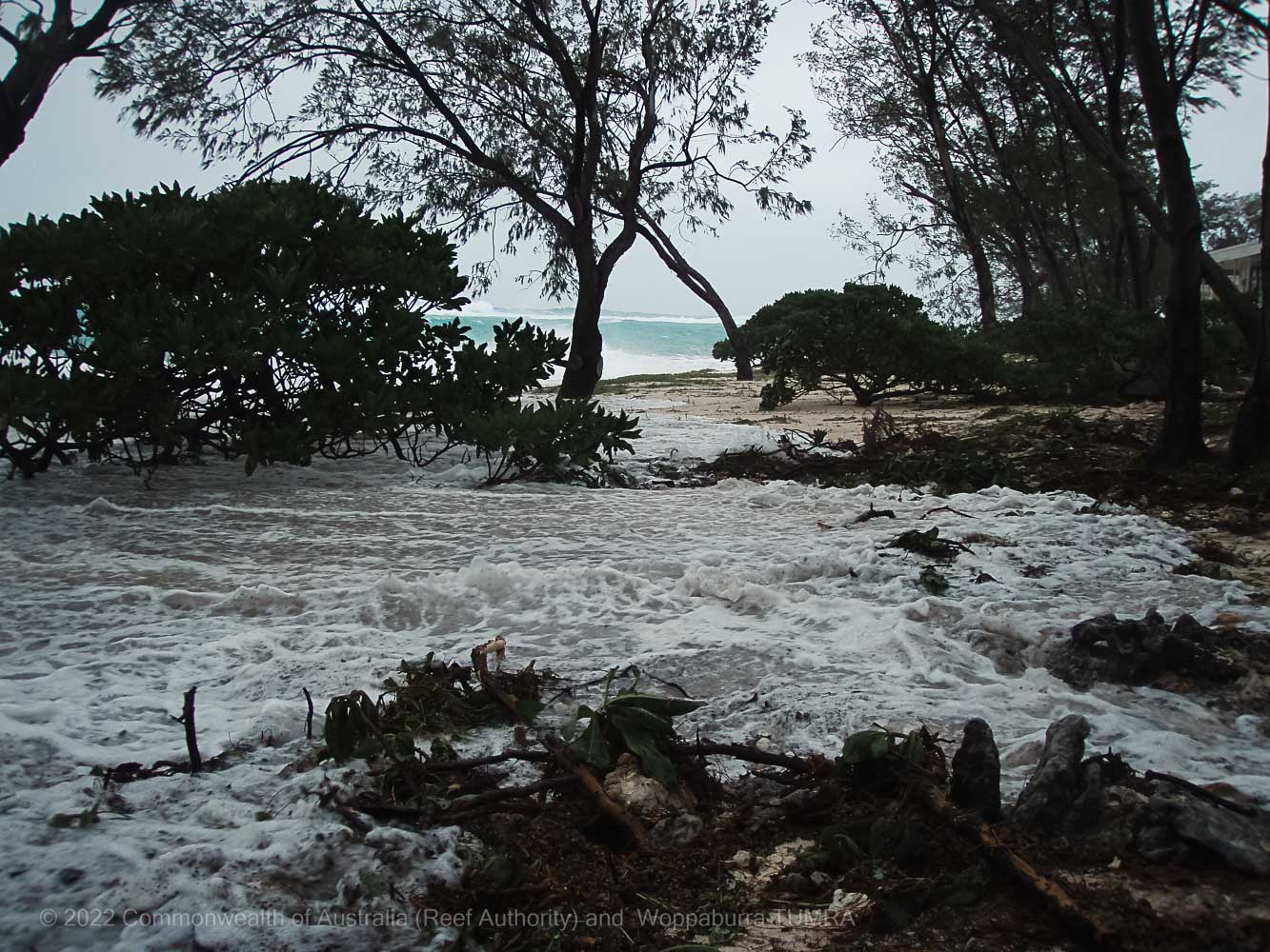 Storm surge - Commonwealth of Australia (Reef Authority)