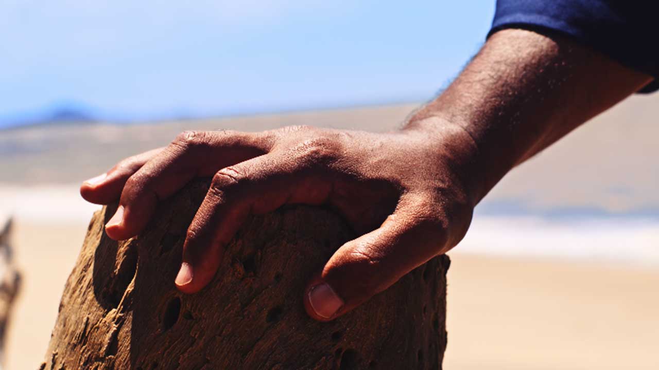 Hand touching wooden stump on beach