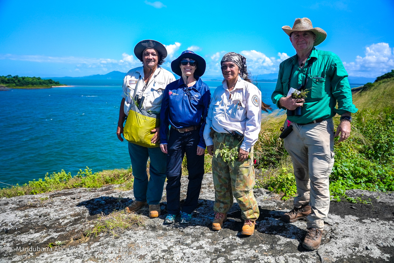 A group of people standing on a cliff by the ocean