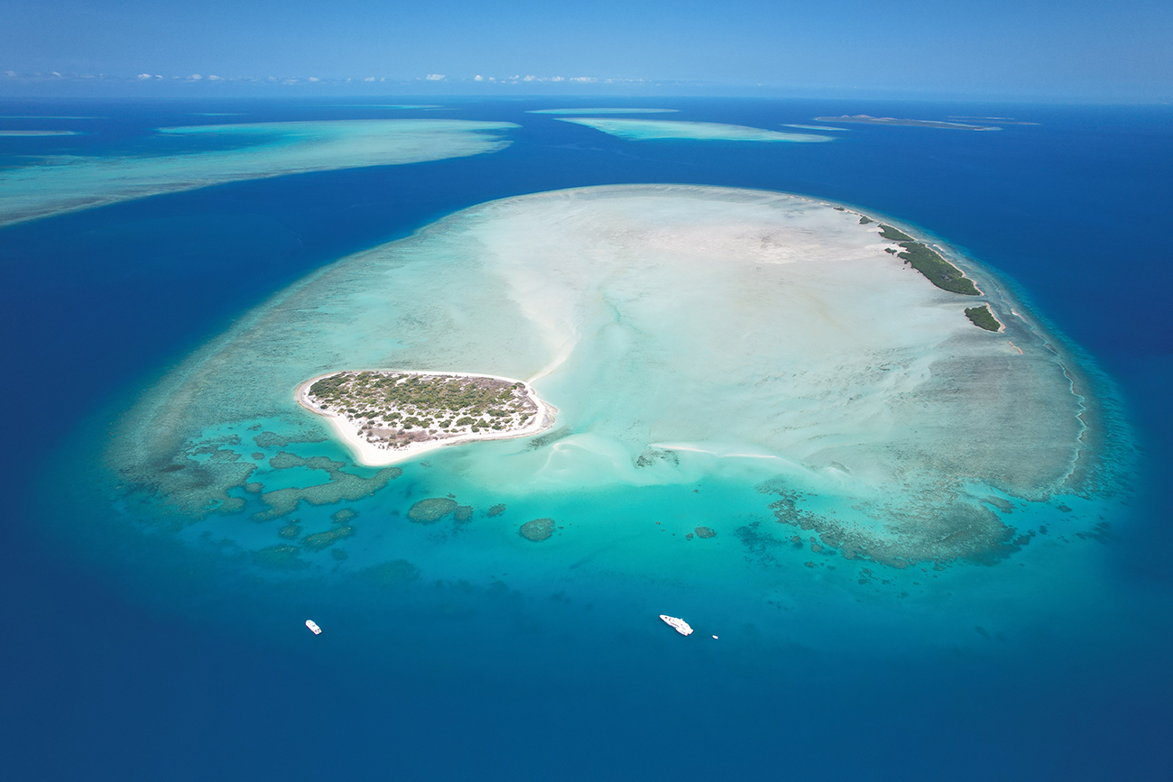 Green sea turtle Torres Straits Great Barrier Reef Traditional Owners