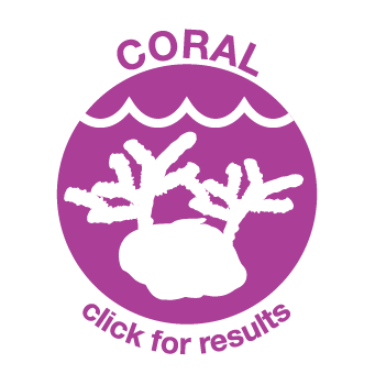 Coral Icon
