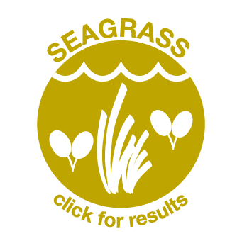 Seagrass Icon