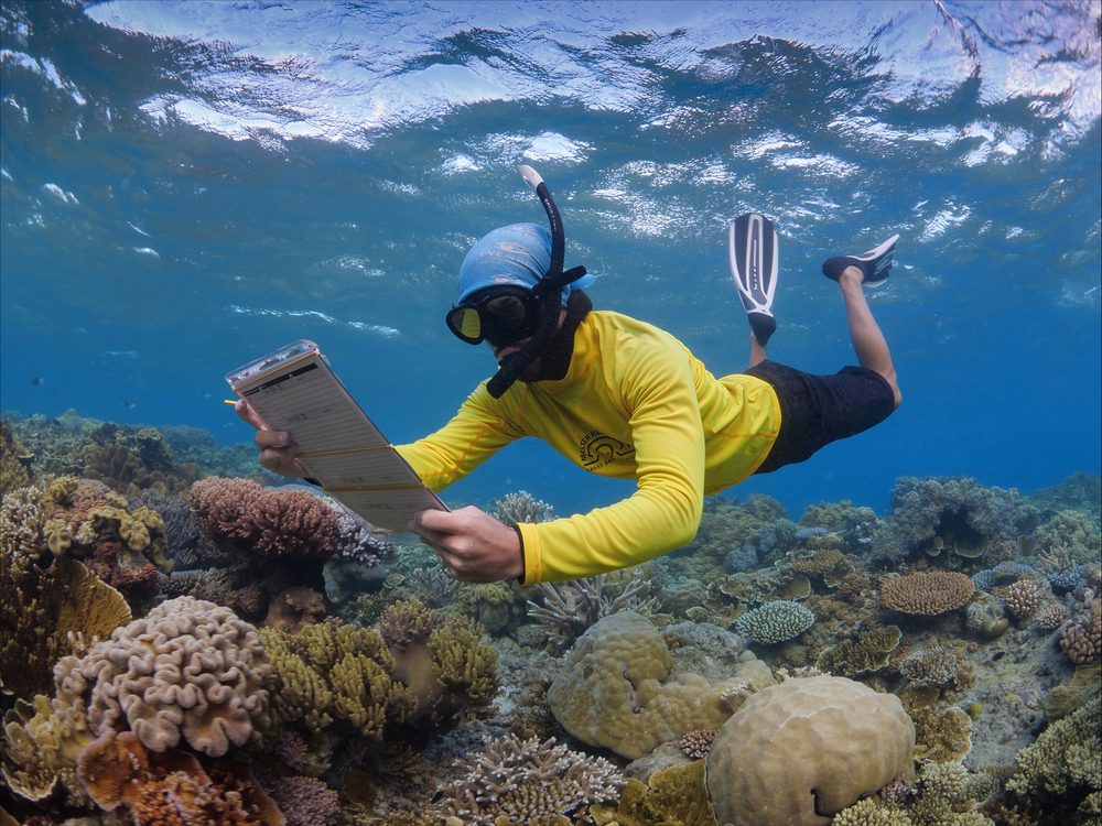 Master Reef Guides
