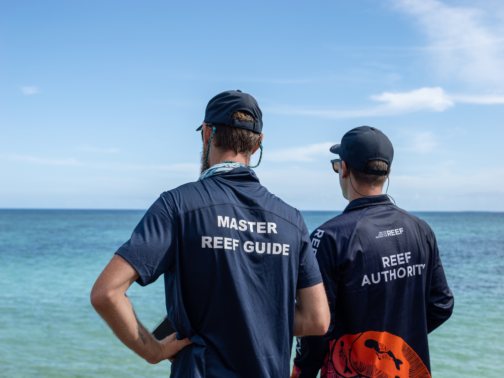 Master Reef Guides