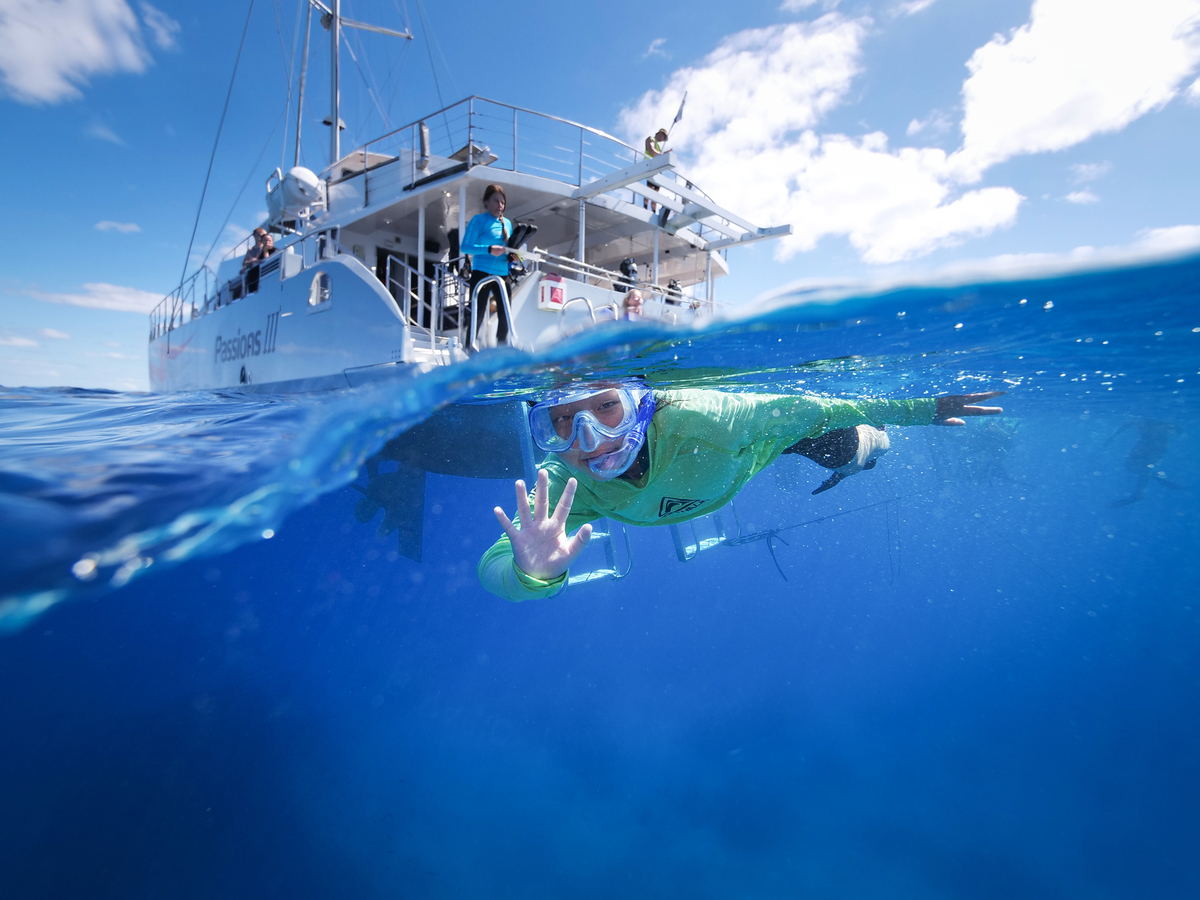 Reef Guardian School student at the Reef