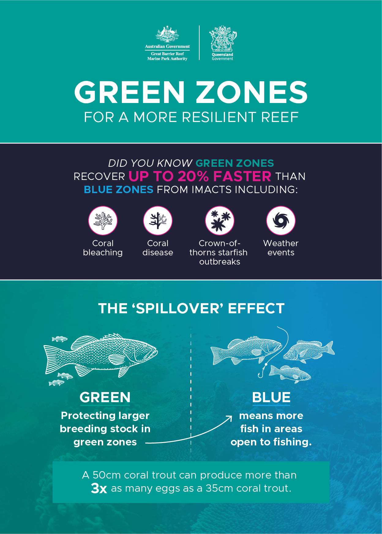How Green Zones Work Infographic