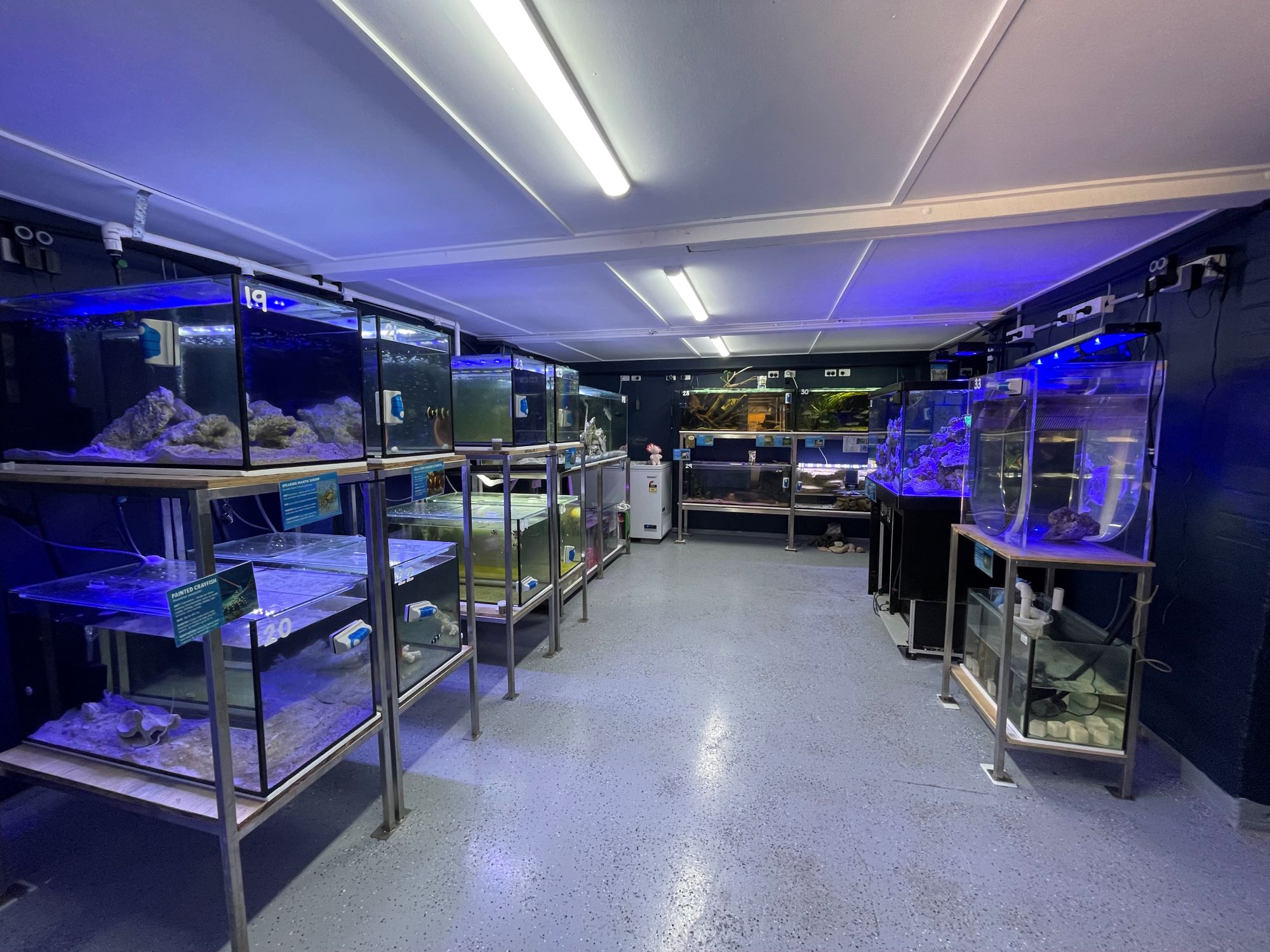 Upgraded aquariam facilities at Beligan Gardens State School Reef BG