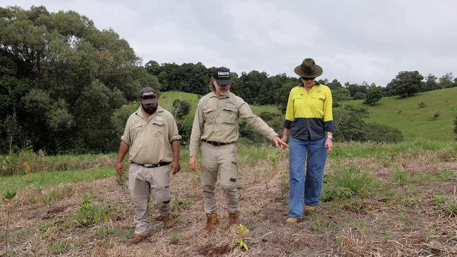 Mamu Rangers and Christine Wolf on the Tablelands
