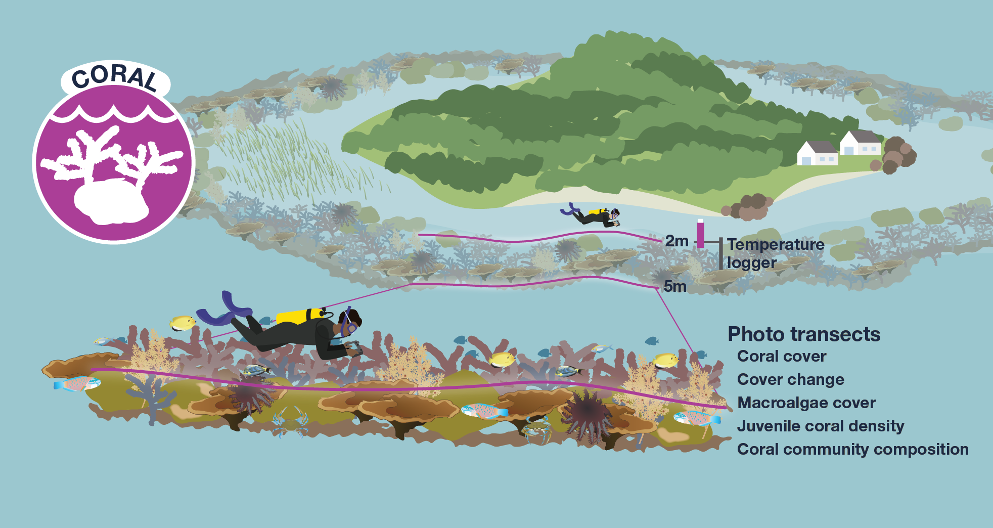 Coral monitoring infographic