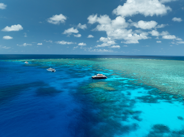 Eye on the Reef training