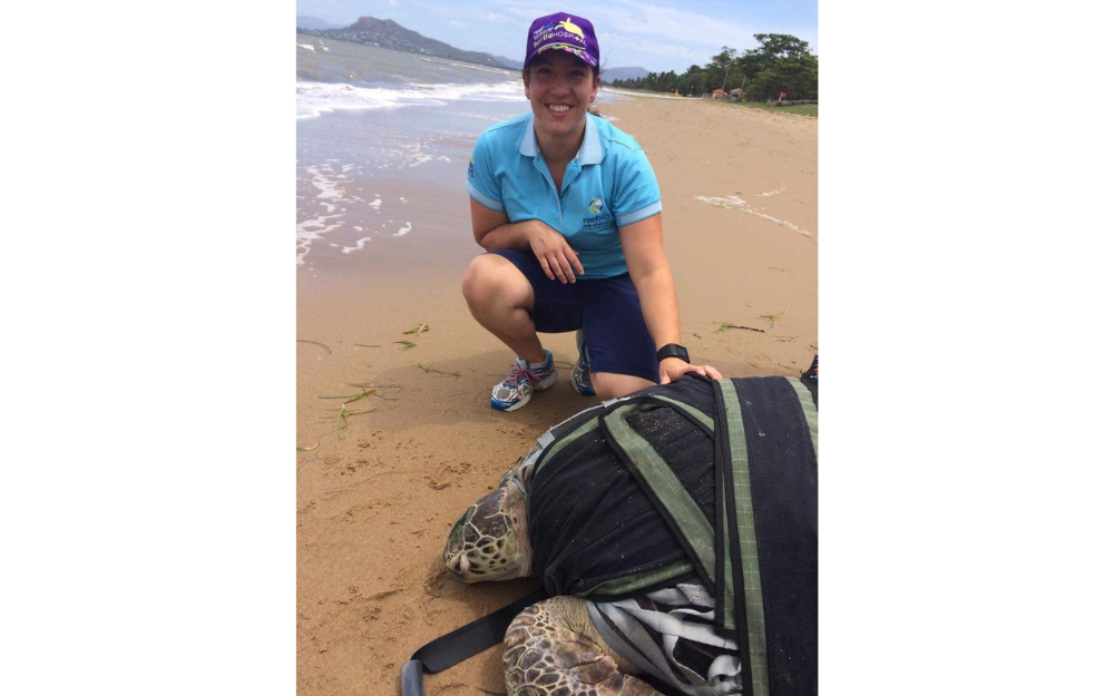 A woman scientist crouches beside a turtle being released back into the ocean