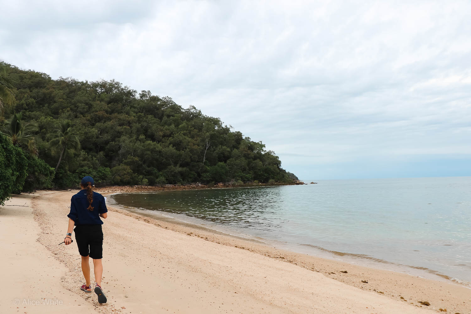 Alice White Senior Planning Officer - Great Barrier Reef Marine Park Authority