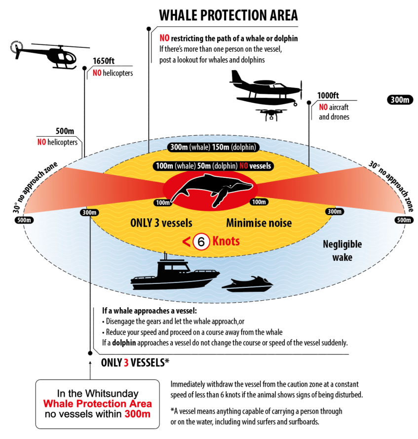 Safe Whale Distances 