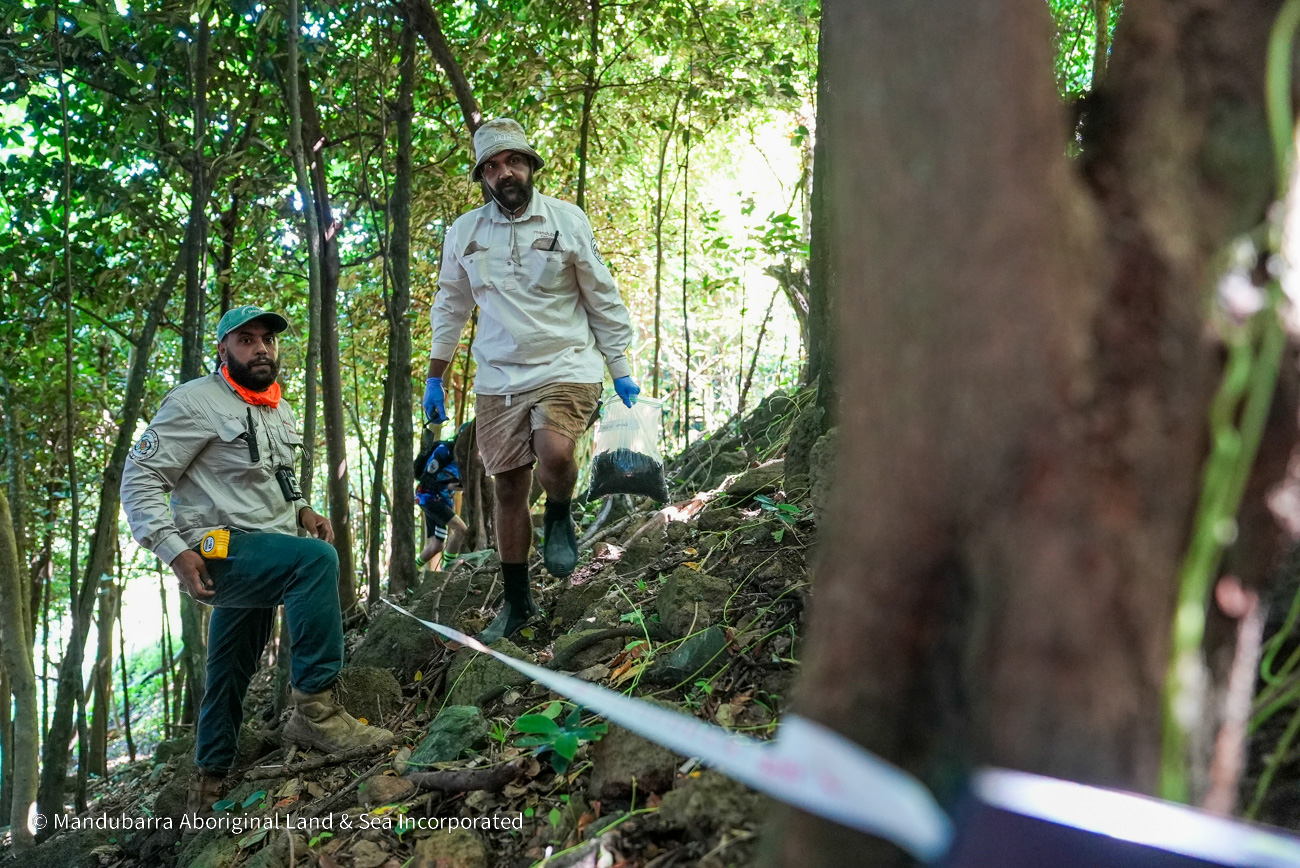 Two men walking beside a tape measurer in the forest