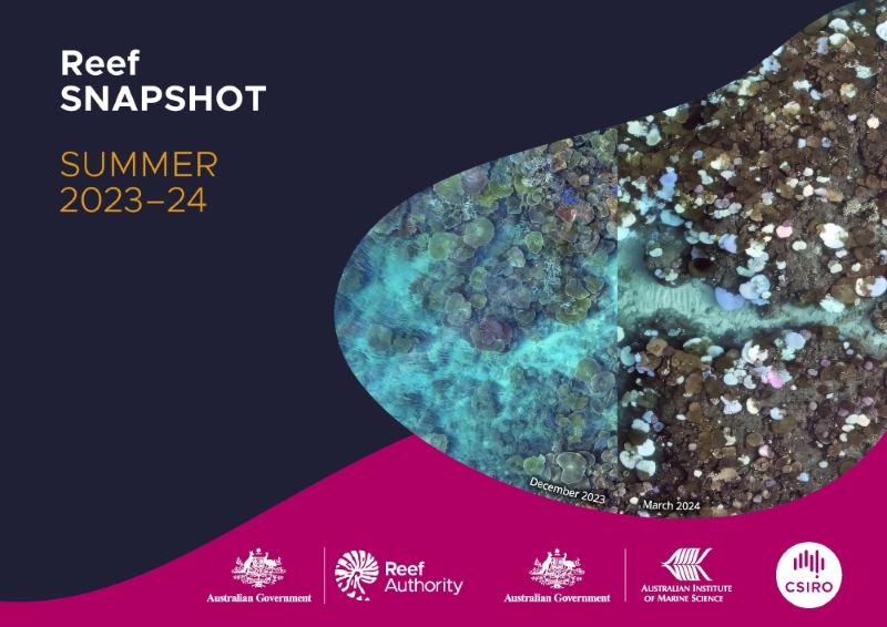 Reef snapshot: summer 2023-24 front cover