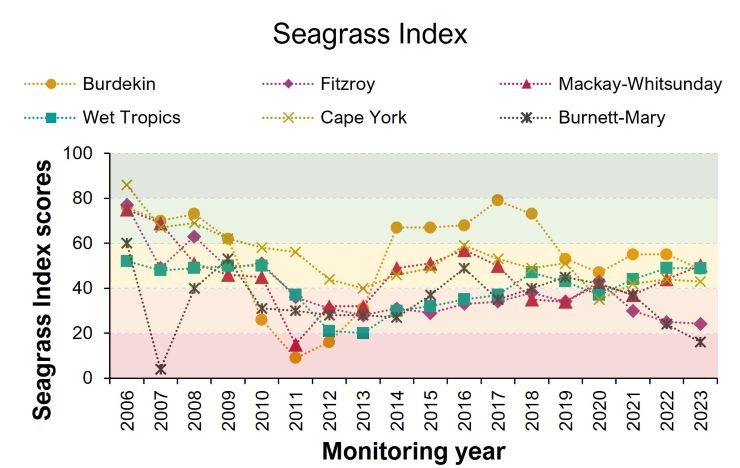 Graph titled 'Seagrass Index' showing Seagrass Index scores from 2006 to 2023 for Burdekin, Fitzroy, Mackay-Whitsunday, Wet Tropics, Cape York, and Burnett-Mary regions. The scores range from 0 to 100, with different colored lines representing each region. The graph highlights the trends in seagrass health, showing fluctuations and overall patterns over the years.