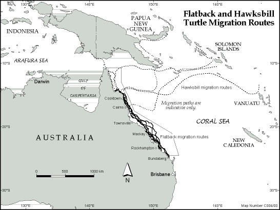 Flatback and Hawksbill migration routes