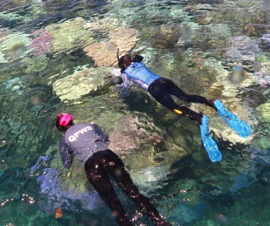 Two people snorkelling on the Reef