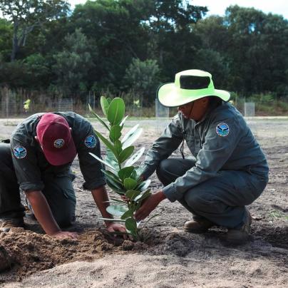 Gunggandji TUMRA field management work - Commonwealth of Australia (Reef Authority)