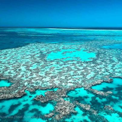    Aerial photograph of the Great Barrier Reef – © Commonwealth of Australia – (Reef Authority) - Photographer: Johnny Gaskell