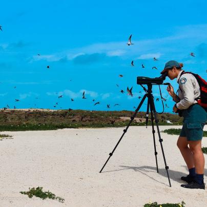 Bird surveying with the Joint Field Management Program – Australia - © QPWS - Photographer: Victor Huertas