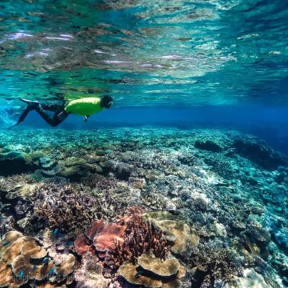 Queensland Parks and Wildlife staff member snorkeling – Australia - © QPWS - Photographer: Victor Huertas