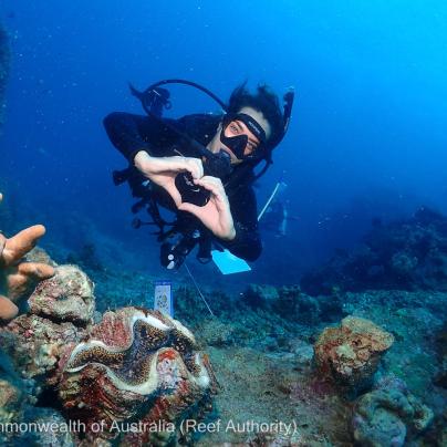 love diver