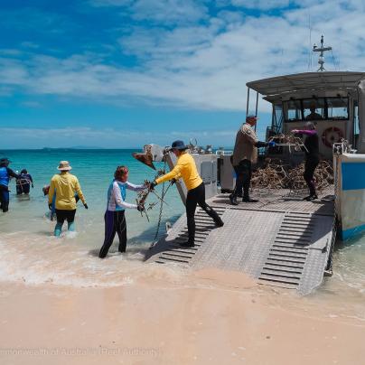 Keppel Bay reef rehabilitation project - © Commonwealth of Australia (Reef Authority)