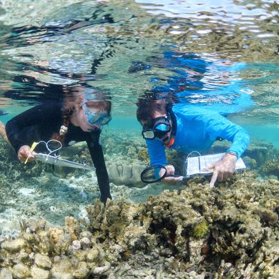Underwater surveys