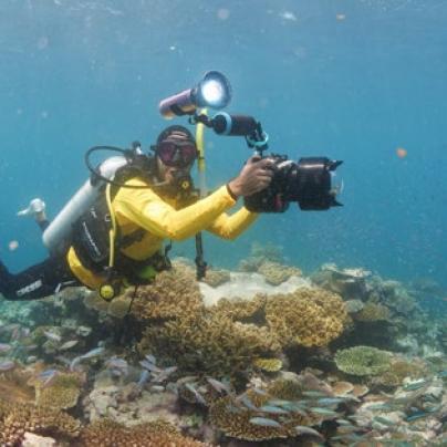 ReefCloud ai