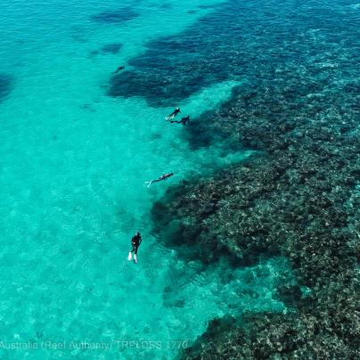 © Tourism Reef Protection Initiative DSS 1770 Tourism Weekly aerial