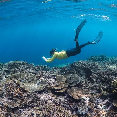 © Tourism Reef Protection Initiative MRG Jessica Tourism Weekly Survey Lady Elliott Island