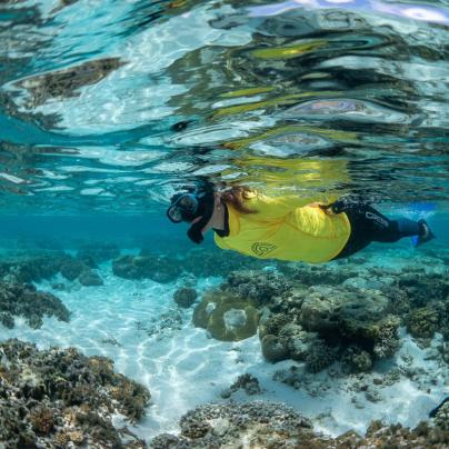 Master Reef Guide - Lady Elliott Island © Commonwealth of Australia (Reef Authority)