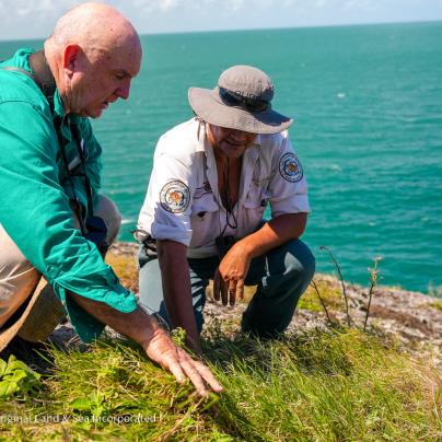 Two men looking at plants on cliff face