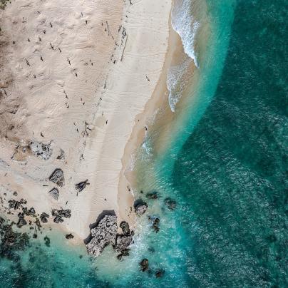 Green sea turtle Torres Straits Great Barrier Reef Traditional Owners