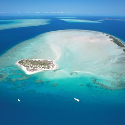 Green sea turtle Torres Straits Great Barrier Reef Traditional Owners