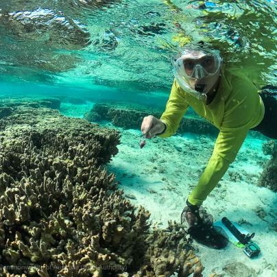 Snorkeller underwater
