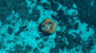 Aerial photograph of coral bommie – Australia - © Tourism and Events Queensland