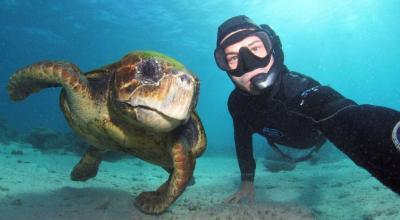 A snorkeller poses with a Green sea turtle