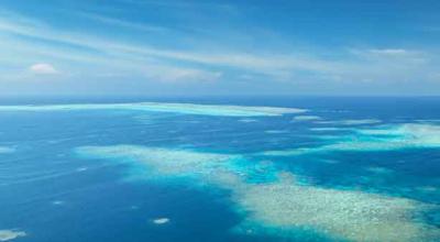 Tongue Reef, Cairns