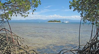 Wood Island