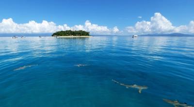 Low Isles from the water