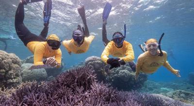 Four snorkellers surveying reef with clipboards