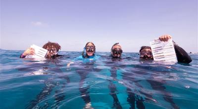 Snorkellers in water holding survey forms