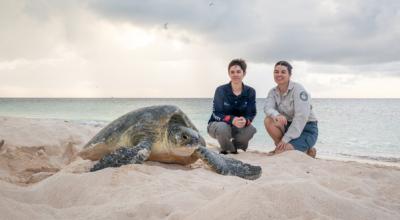 Reef Authority and QPWS on Raine Island 
