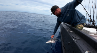 Reel Destinations angler, Dyllon Schulz unhooking a shark beside the boat while fishing on the Reef