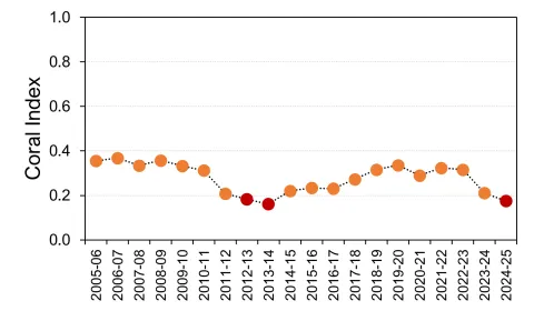 Fitzroy coral graph